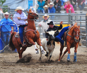 bulldogging5