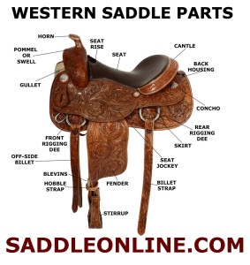 partofwesternsaddle