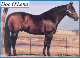 DOC O’LENA